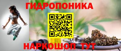 синтетический гашиш Лесосибирск