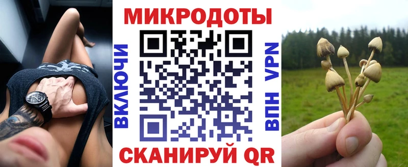 Галлюциногенные грибы GOLDEN TEACHER  наркота  Нерюнгри 