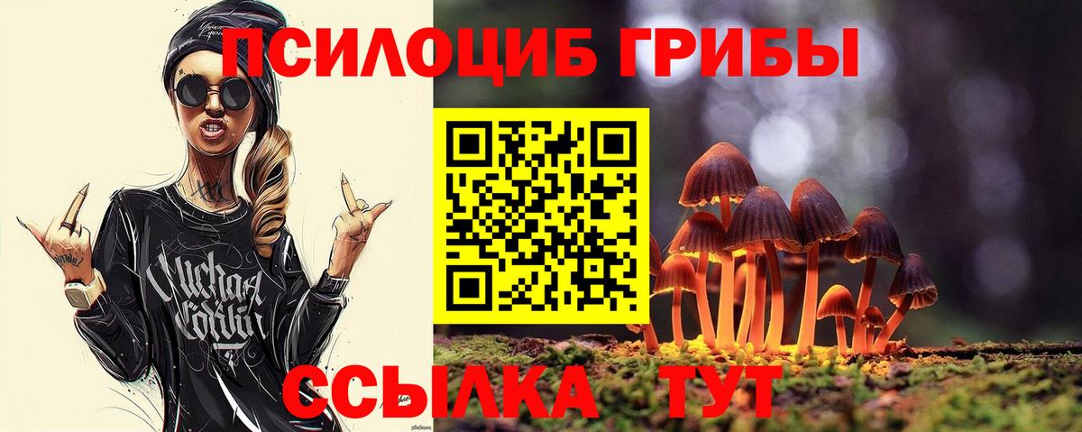 Нерюнгри  Галлюциногенные грибы ЛСД  Вход с VPN  Галлюциногенные грибы прущие грибы 